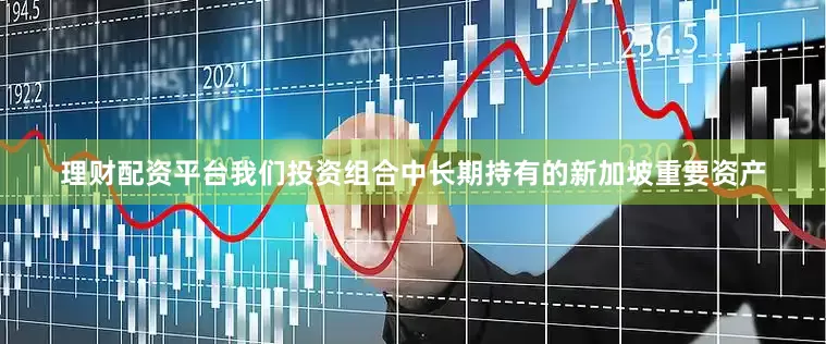 理财配资平台我们投资组合中长期持有的新加坡重要资产