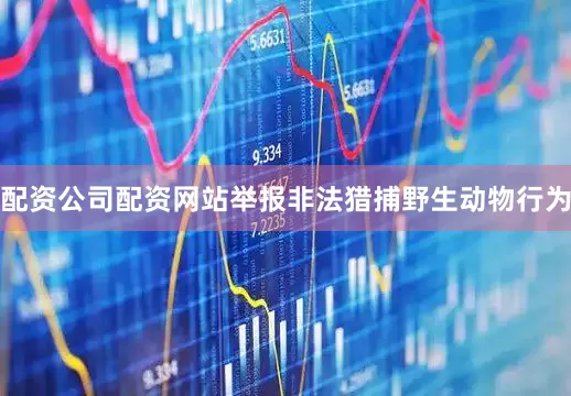 配资公司配资网站举报非法猎捕野生动物行为