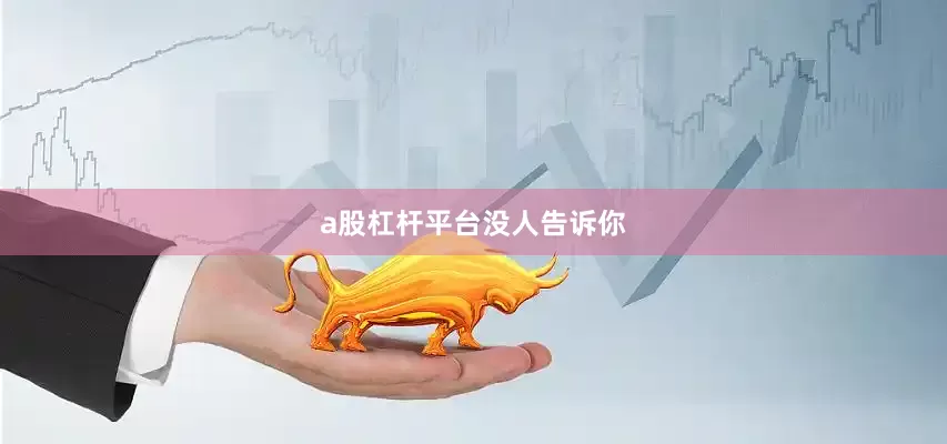 a股杠杆平台没人告诉你
