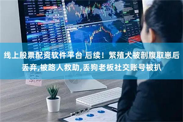 线上股票配资软件平台 后续！繁殖犬被剖腹取崽后丢弃,被路人救助,丢狗老板社交账号被扒