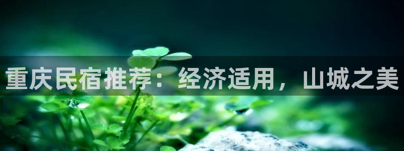 球盟会手机网页版